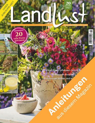Zeitschriftencover "Landlust" mit Bild eines herbstlichen Blumenstraußs. Oben rechts: "20 Jahre Landlust". Bild verlinkt zu den Anleitungen aus dem Heft.