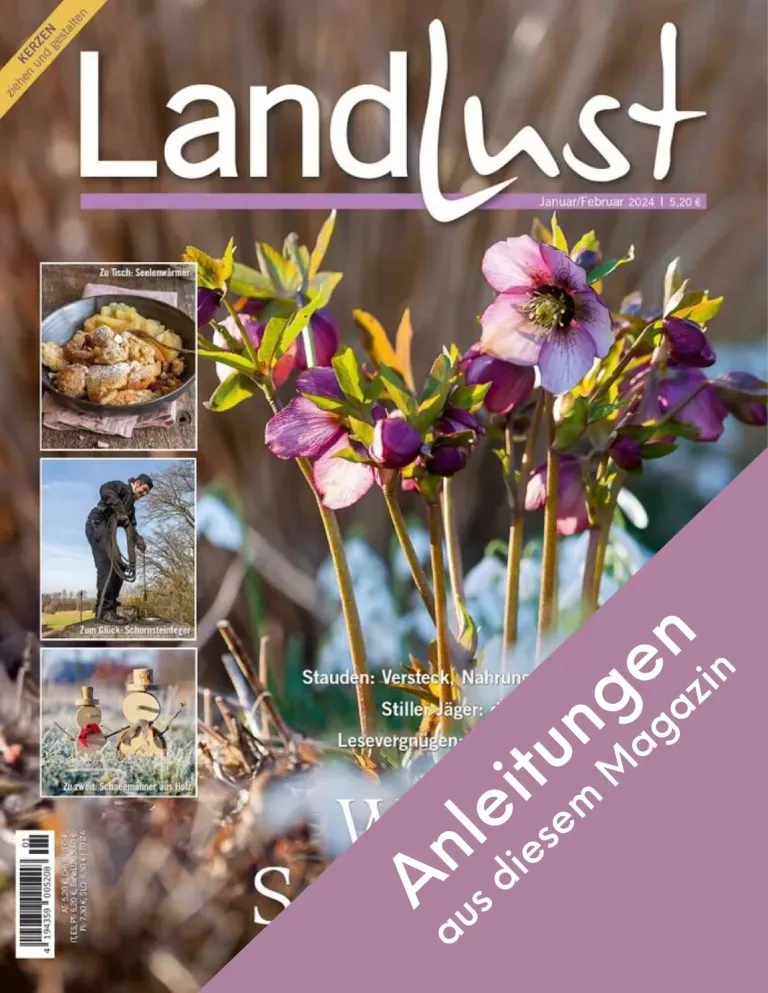 Anleitungen aus der Landlust-Ausgabe Januar und Februar 2024