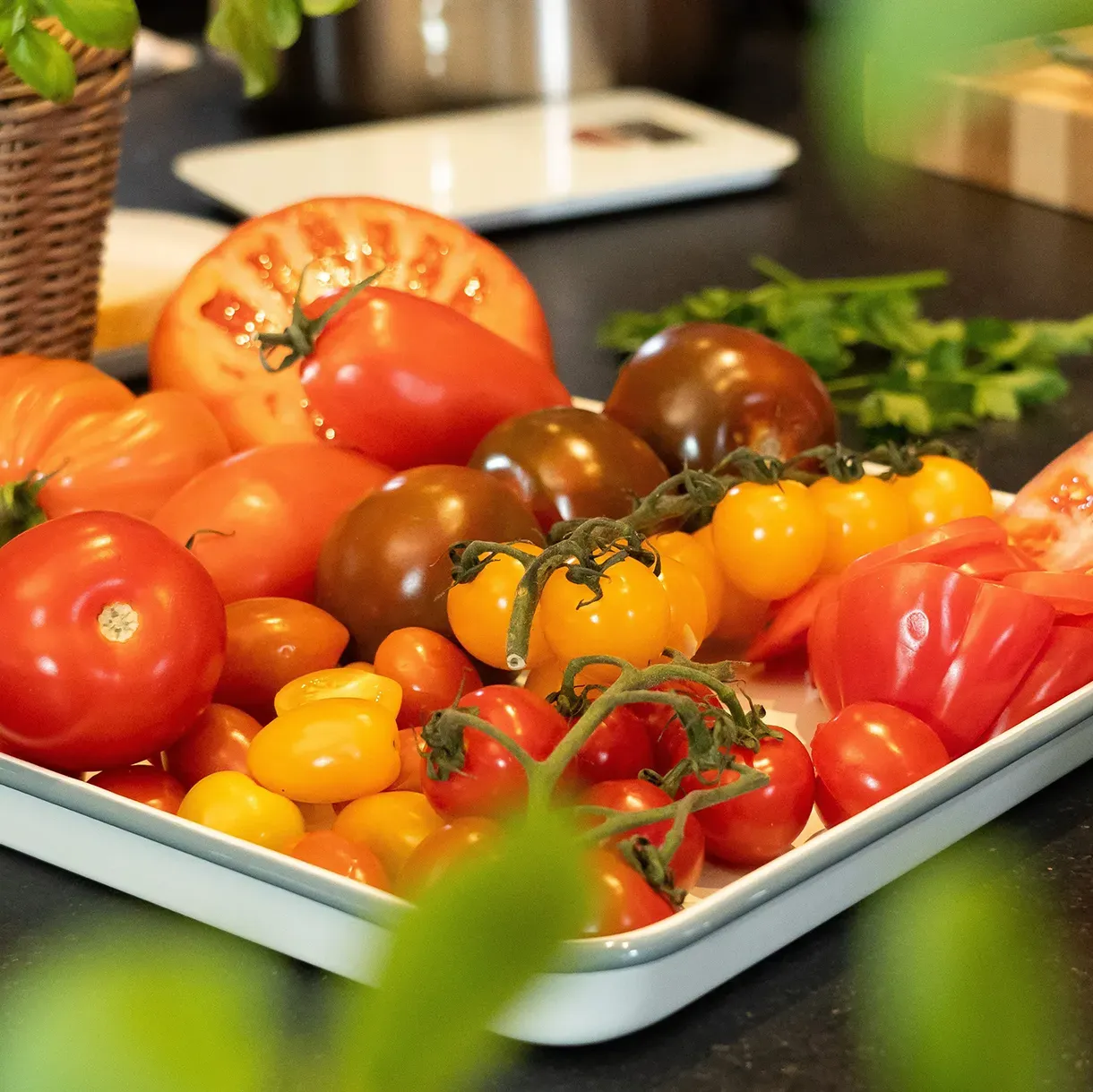 Verschiedene Tomatensorten, einschließlich ganzer und geschnittener Tomaten, liegen auf einem weißen Tablett. Daneben steht ein Korb mit frischen Basilikumblättern auf einer dunklen Arbeitsfläche.