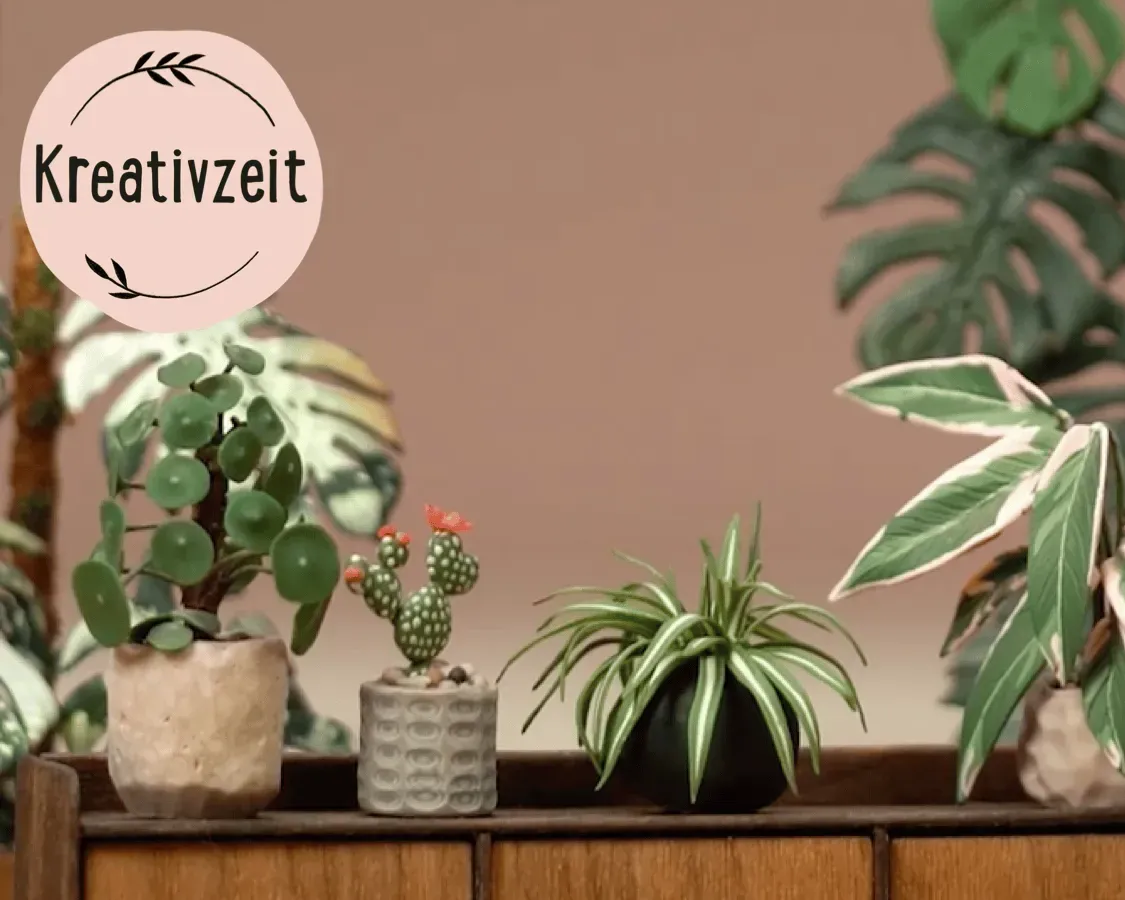 Vier Topfpflanzen auf einem Holztisch vor braunem Hintergrund, Logo mit Schriftzug Kreativzeit in der Ecke. Bild verlinkt zum Workshop.